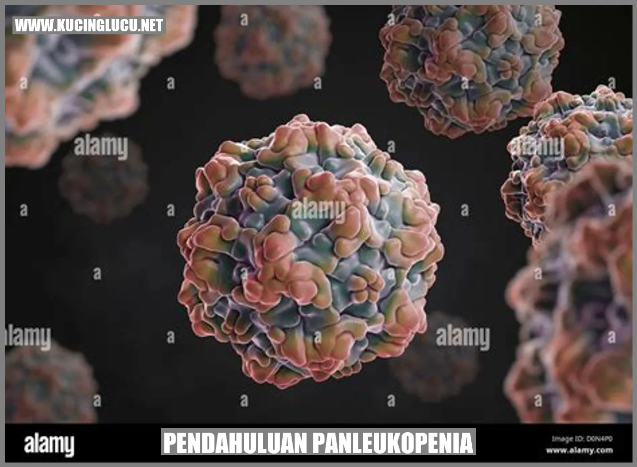 Ilustrasi Panleukopenia