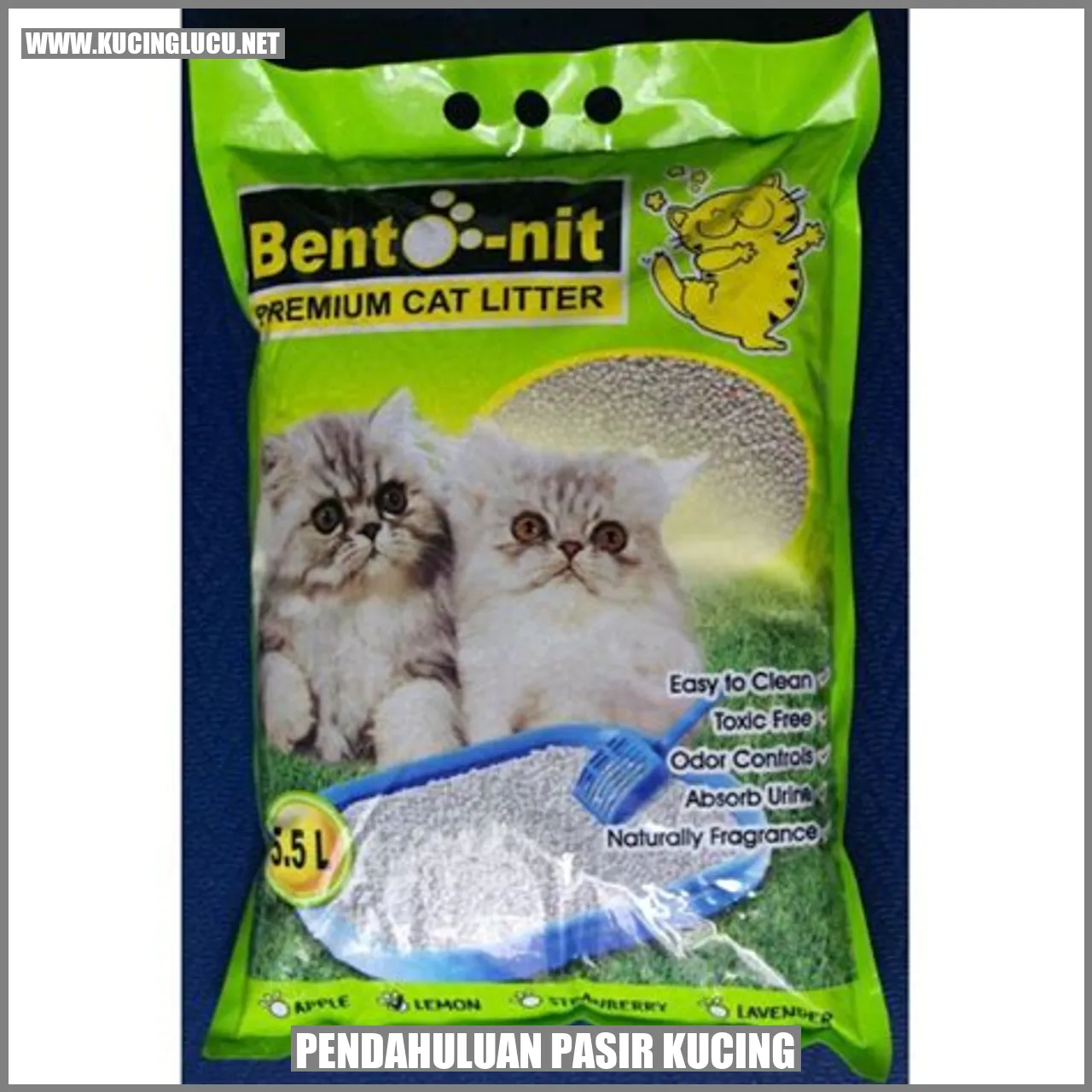 Pendahuluan Pasir Kucing