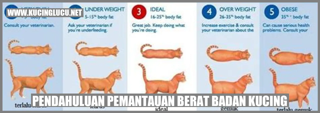 Ilustrasi Kucing