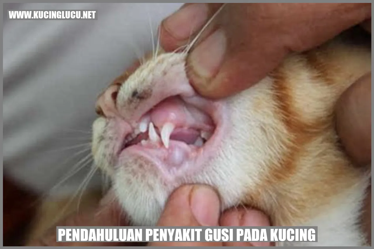 Ilustrasi Kucing
