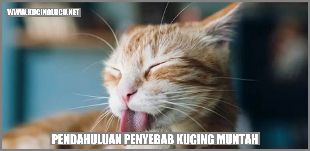 Ilustrasi Kucing yang Muntah
