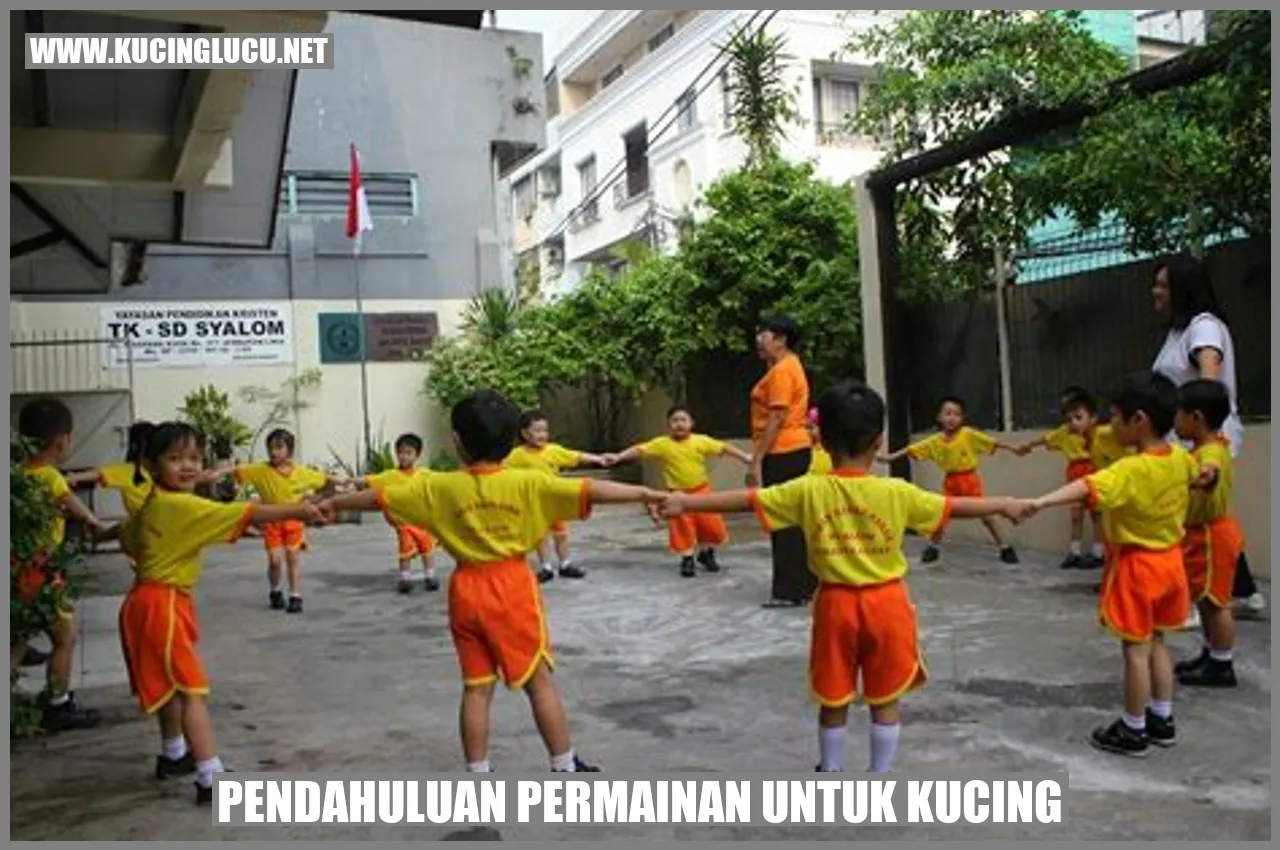 Pendahuluan permainan untuk kucing