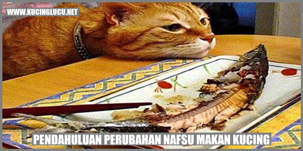 Perubahan Nafsu Makan Kucing