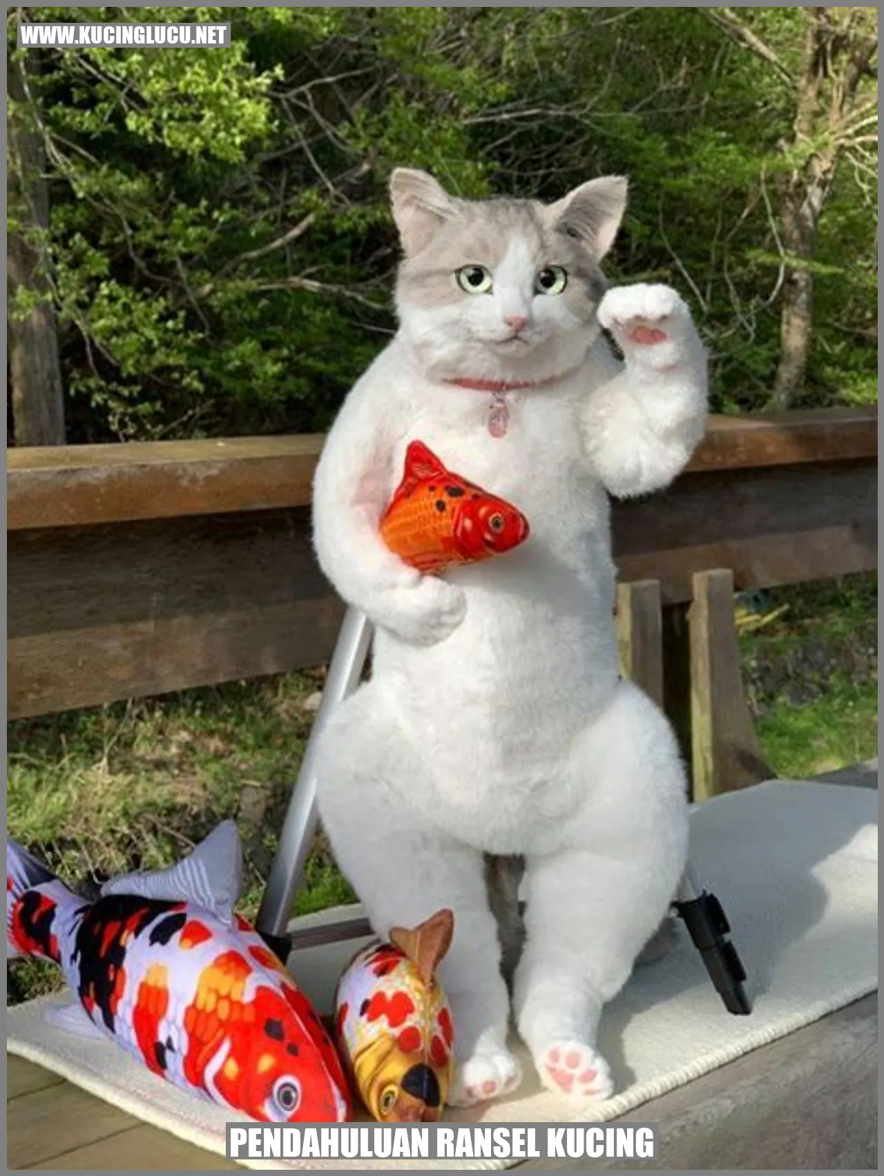 Ransel Kucing