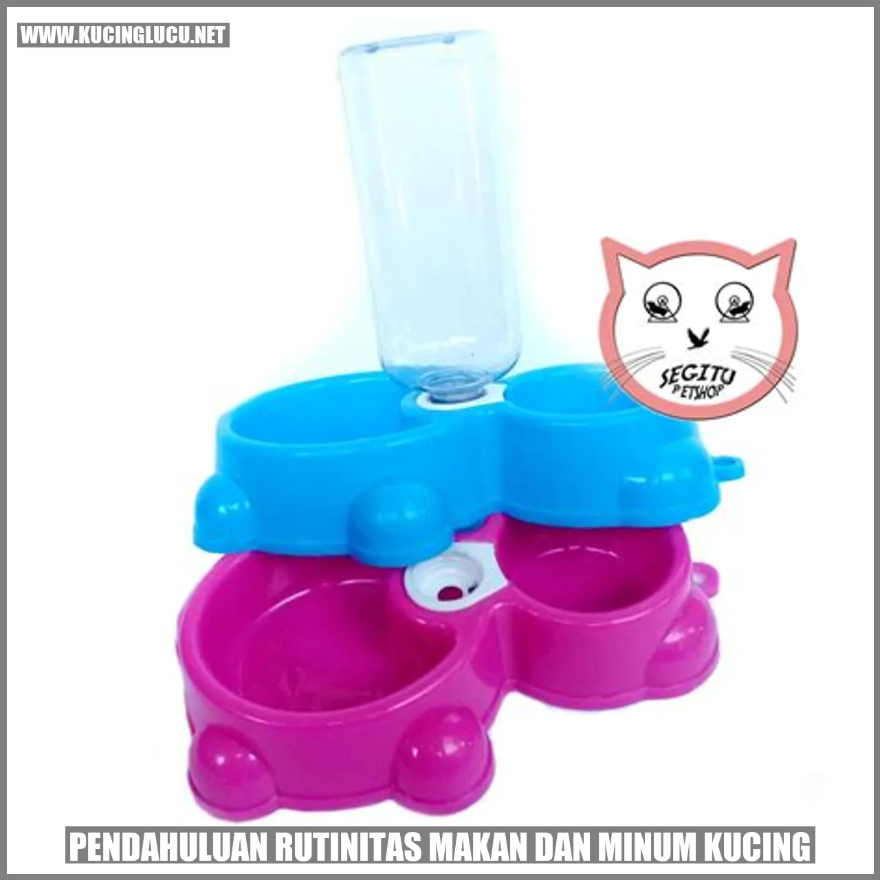 gambar kucing makan dan minum