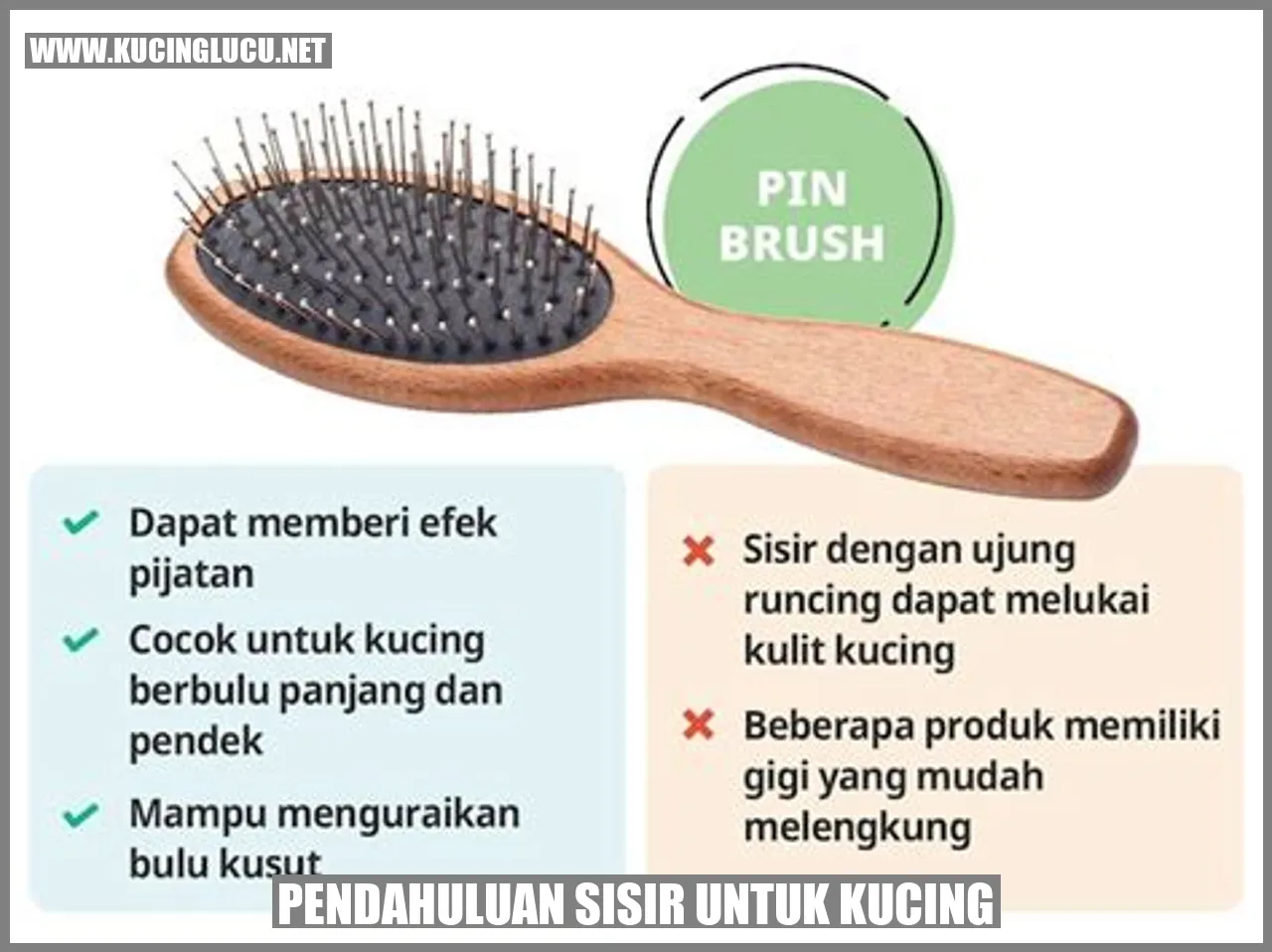Gambar kucing dengan bulu rapi