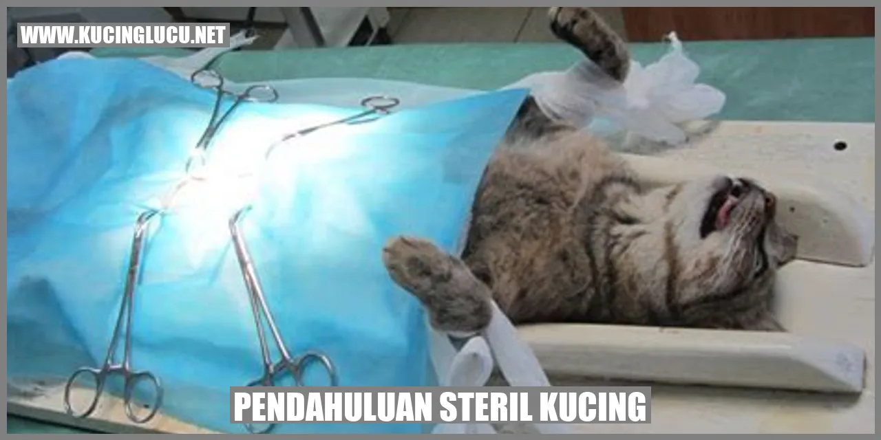 Pendahuluan steril kucing