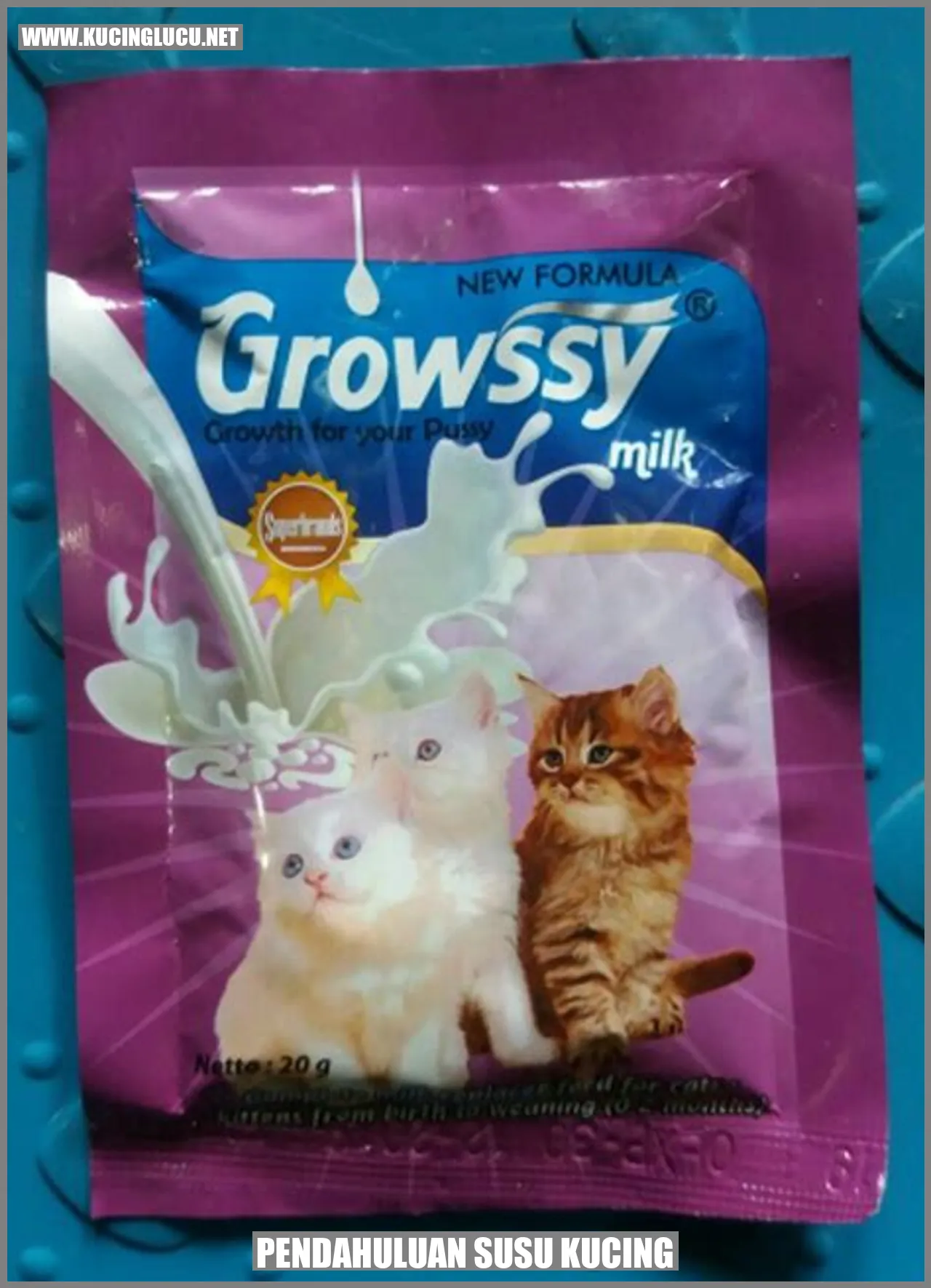 Gambar Makanan Anak Kucing