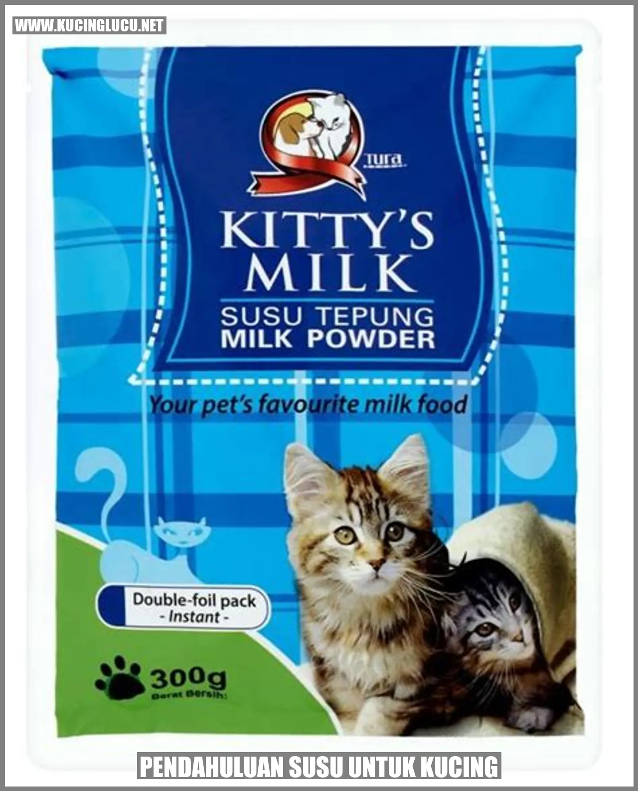 Gambar Kucing