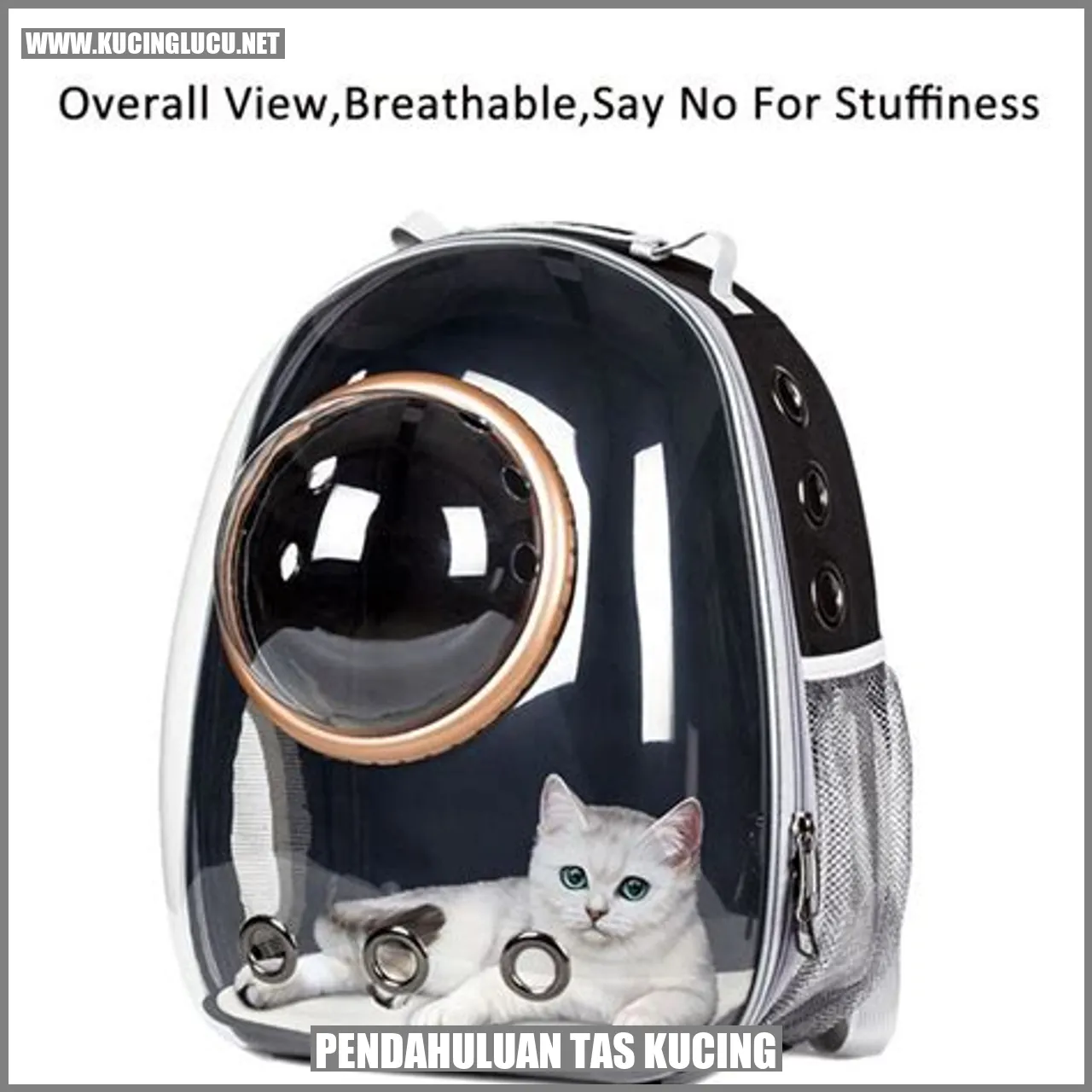 gambar tas kucing