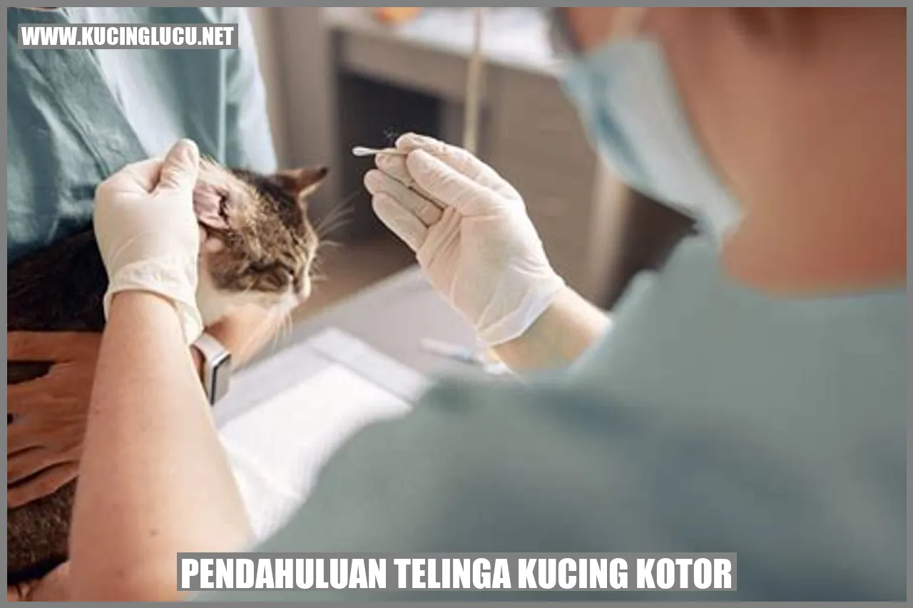 gambar kucing yang khawatir tentang kekotoran telinganya