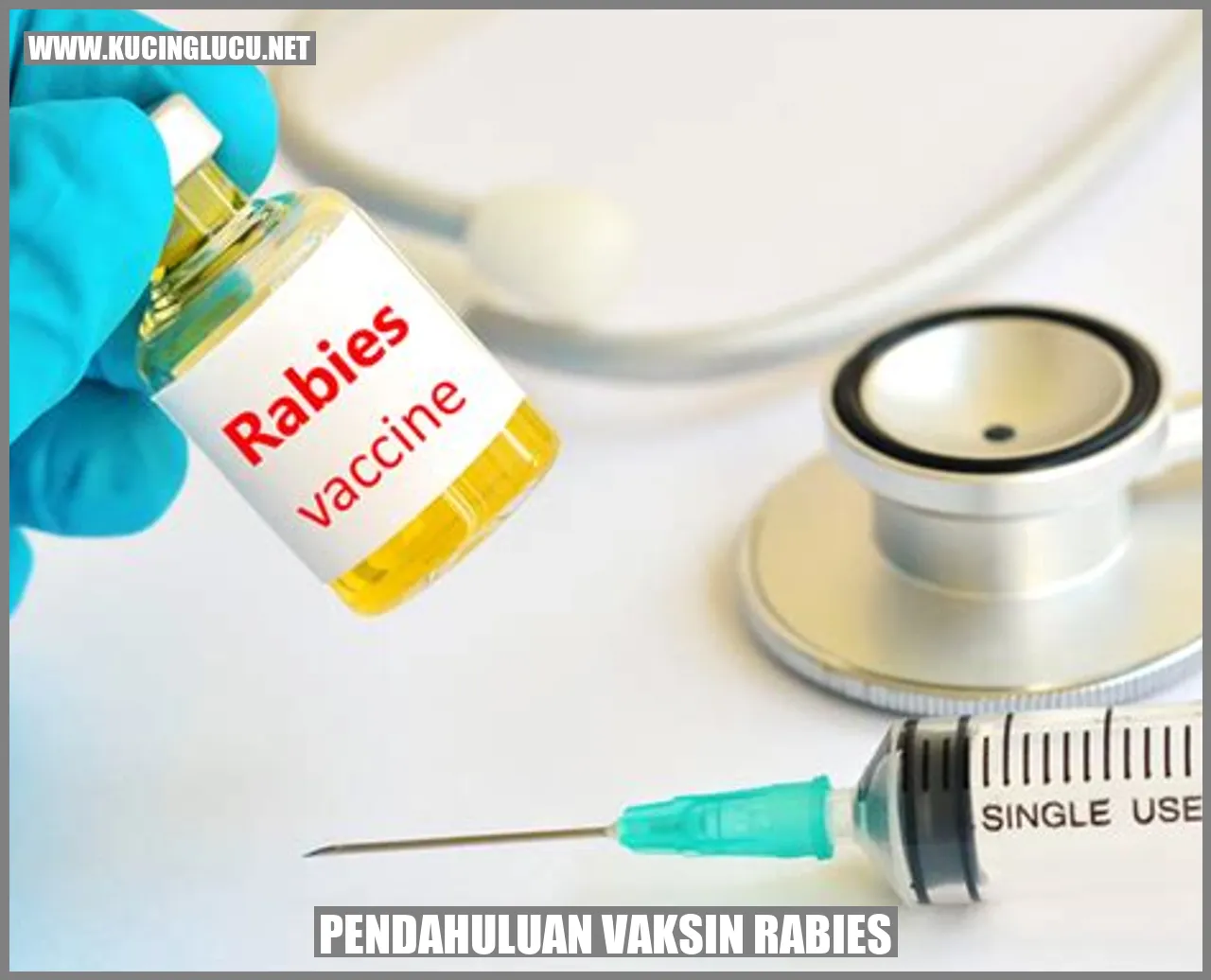 Gambar Vaksin Rabies