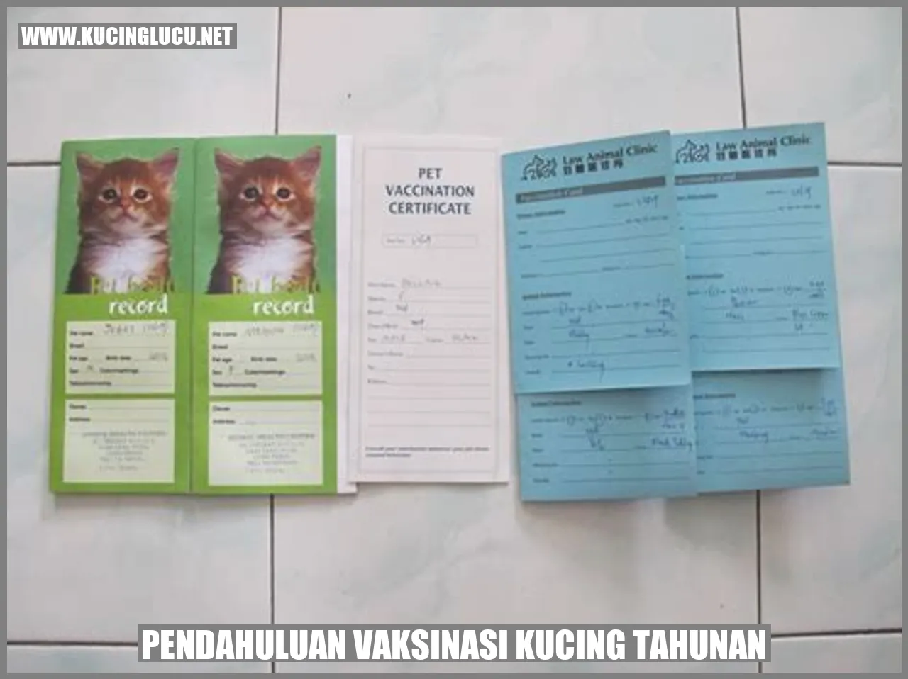 Vaksinasi kucing