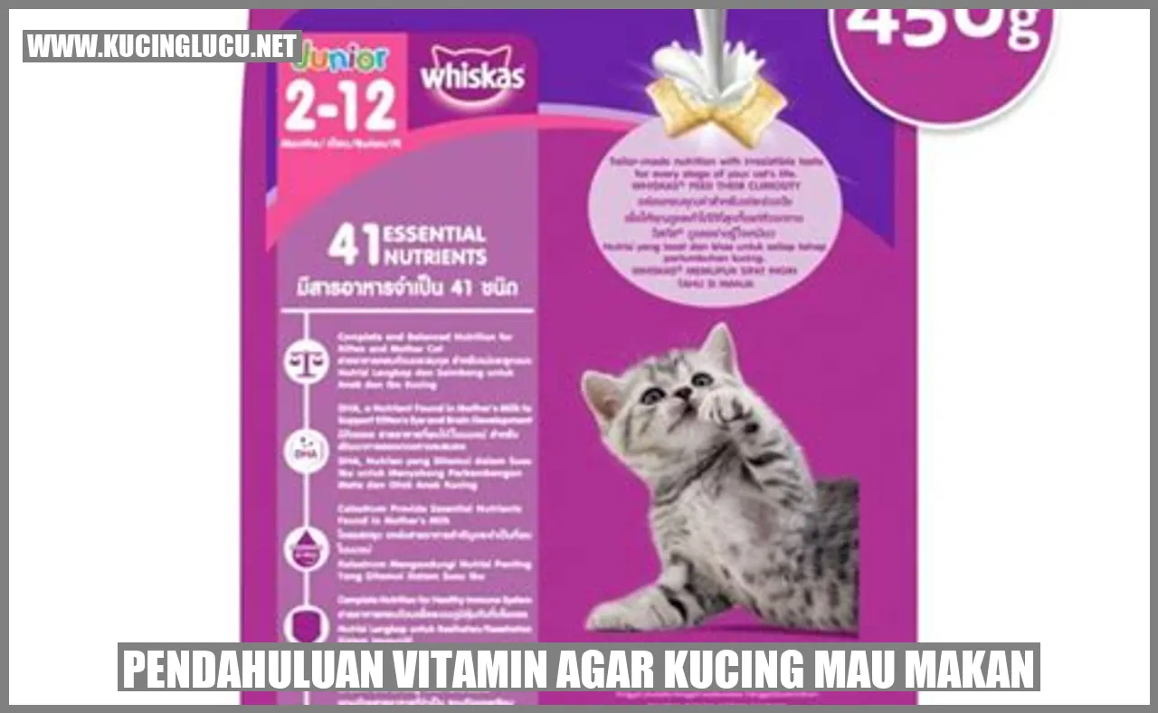 Pendahuluan vitamin agar kucing mau makan