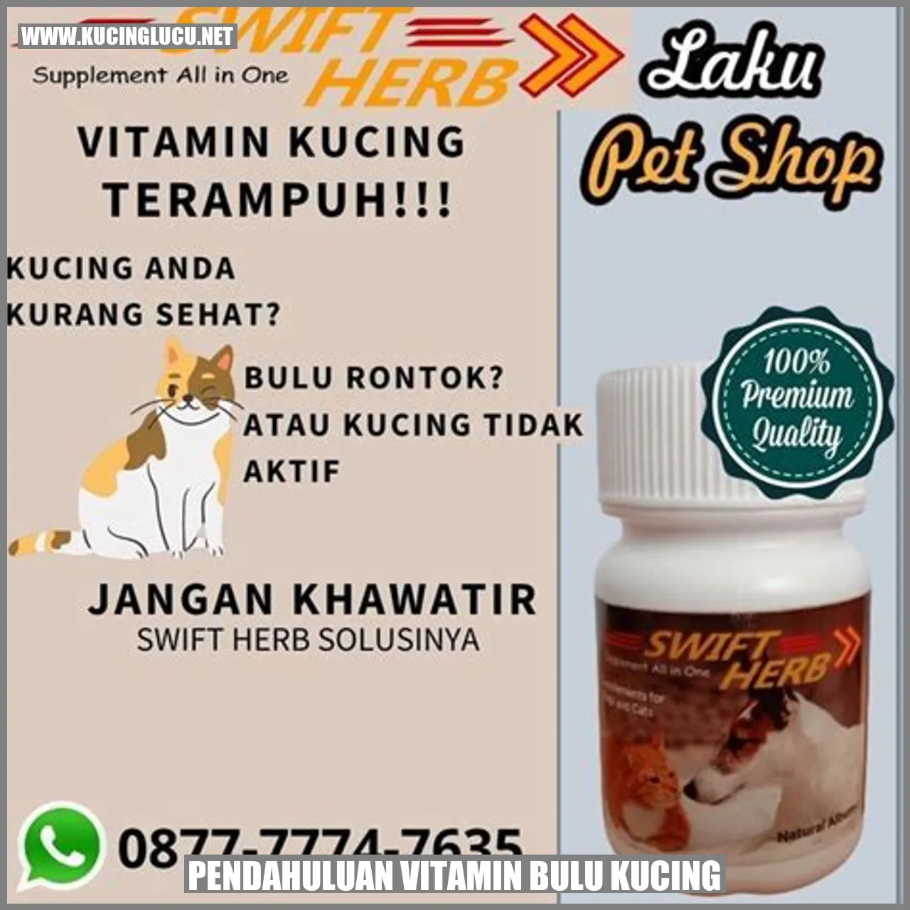 gambar vitamin bulu kucing