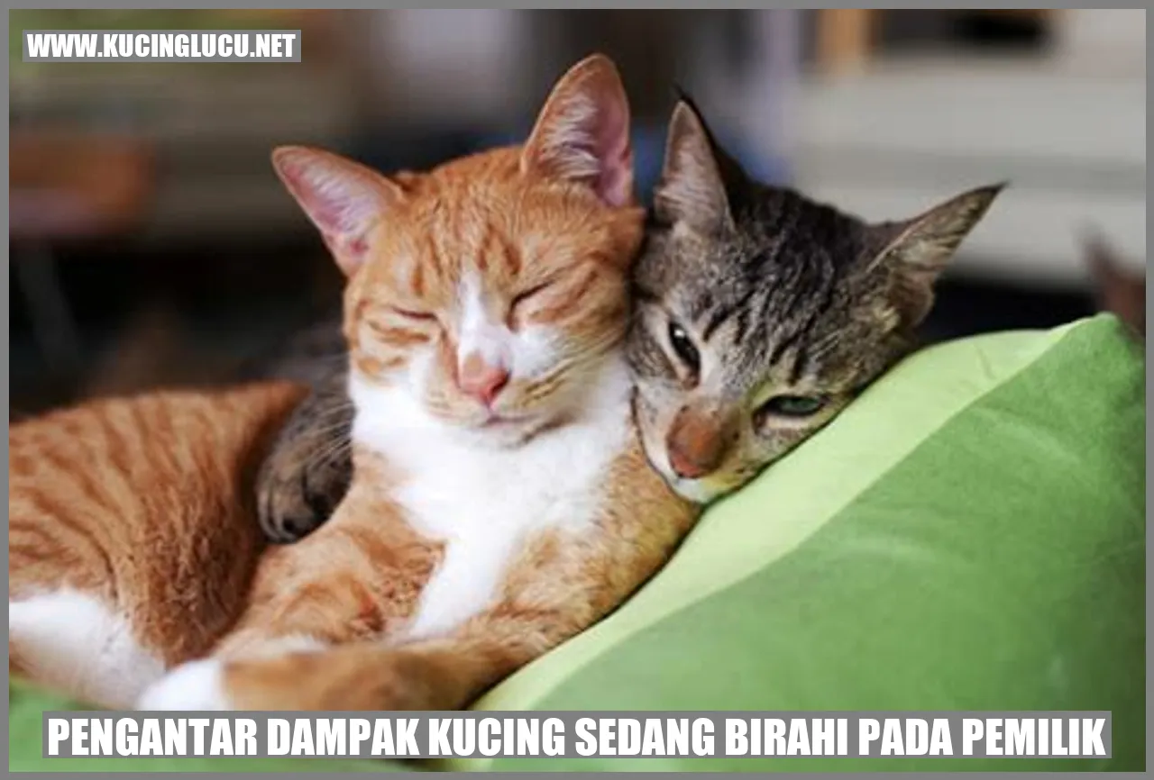 Ilustrasi Kucing Sedang Birahi