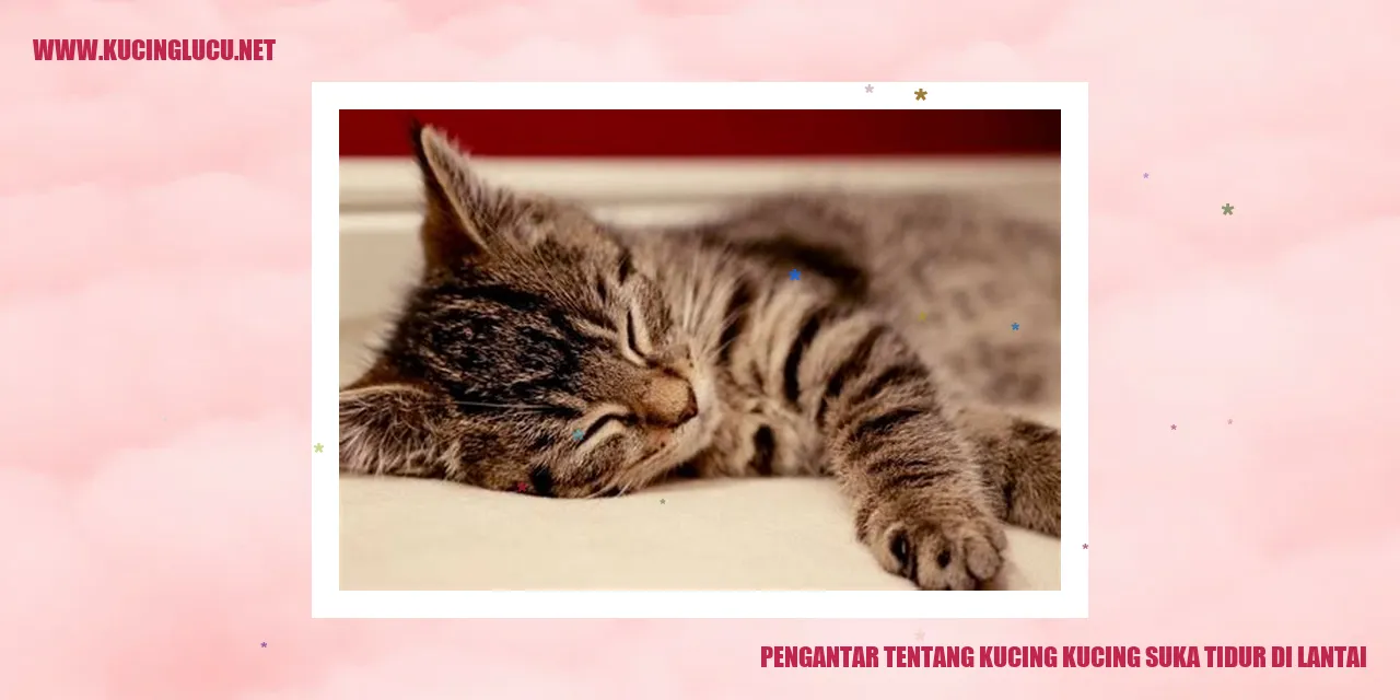 Kucing tidur di lantai