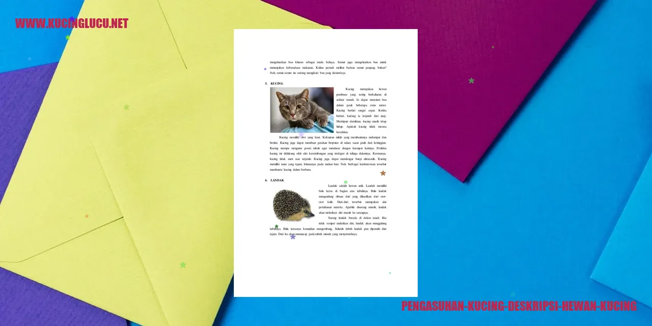 Seekor Kucing yang Menggemaskan