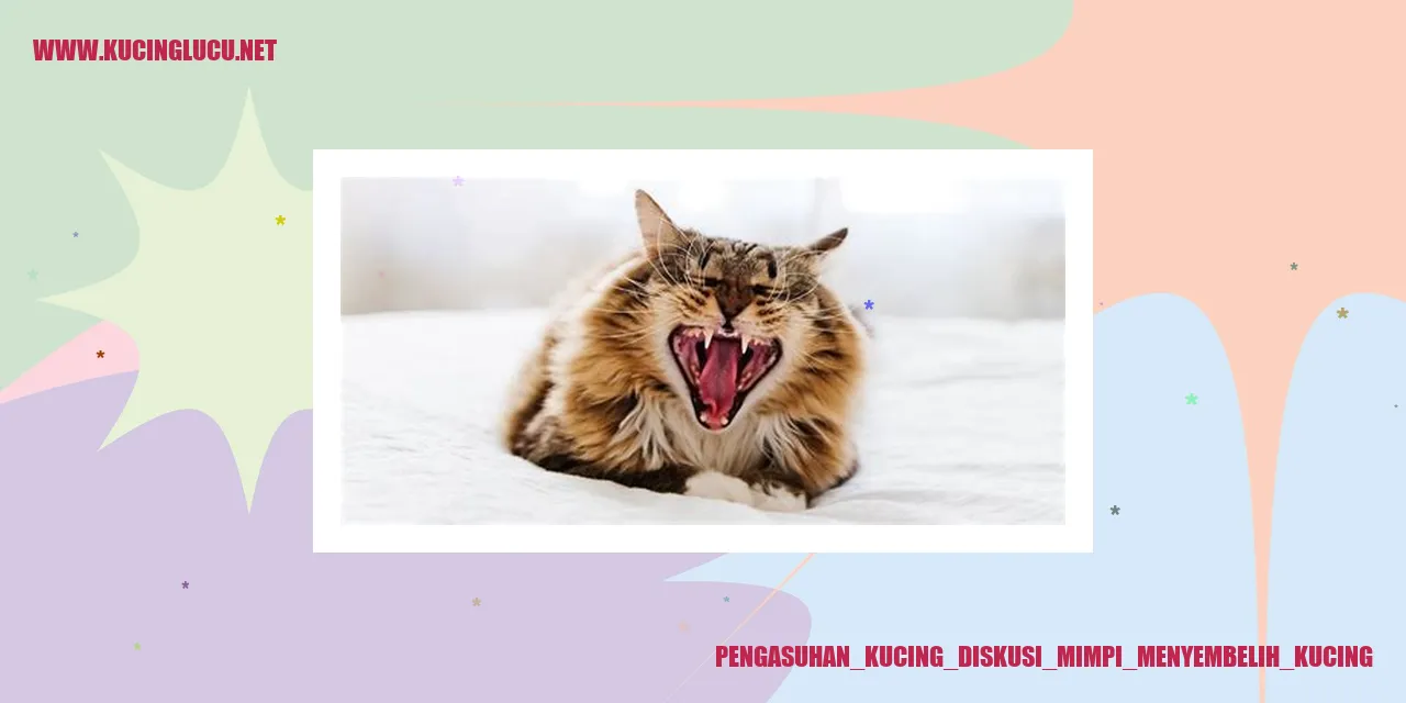 Gambar Kucing