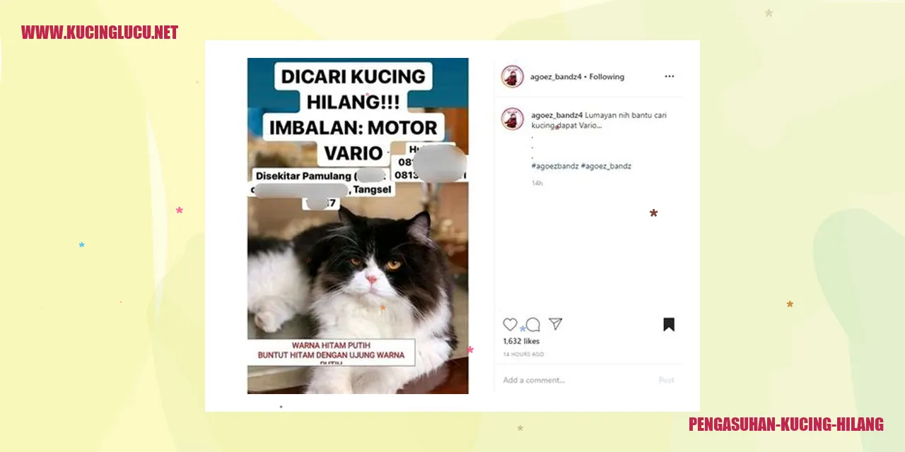 Kucing yang Tidak Ditemukan
