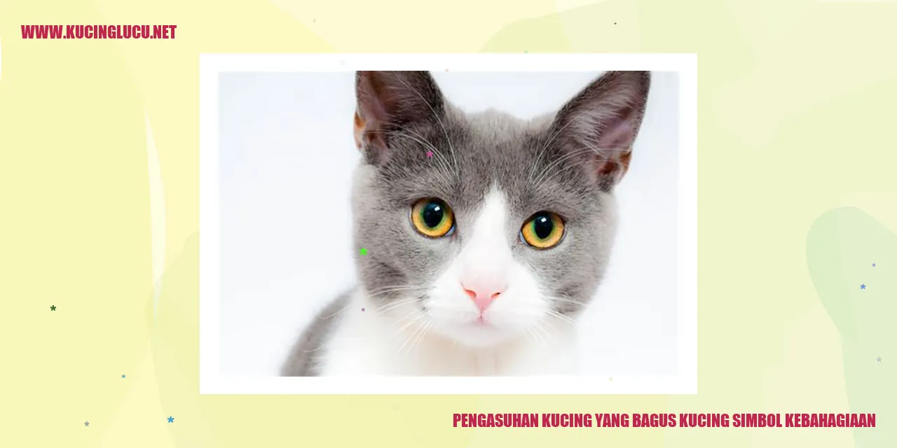 Kucing sebagai Simbol Kebahagiaan