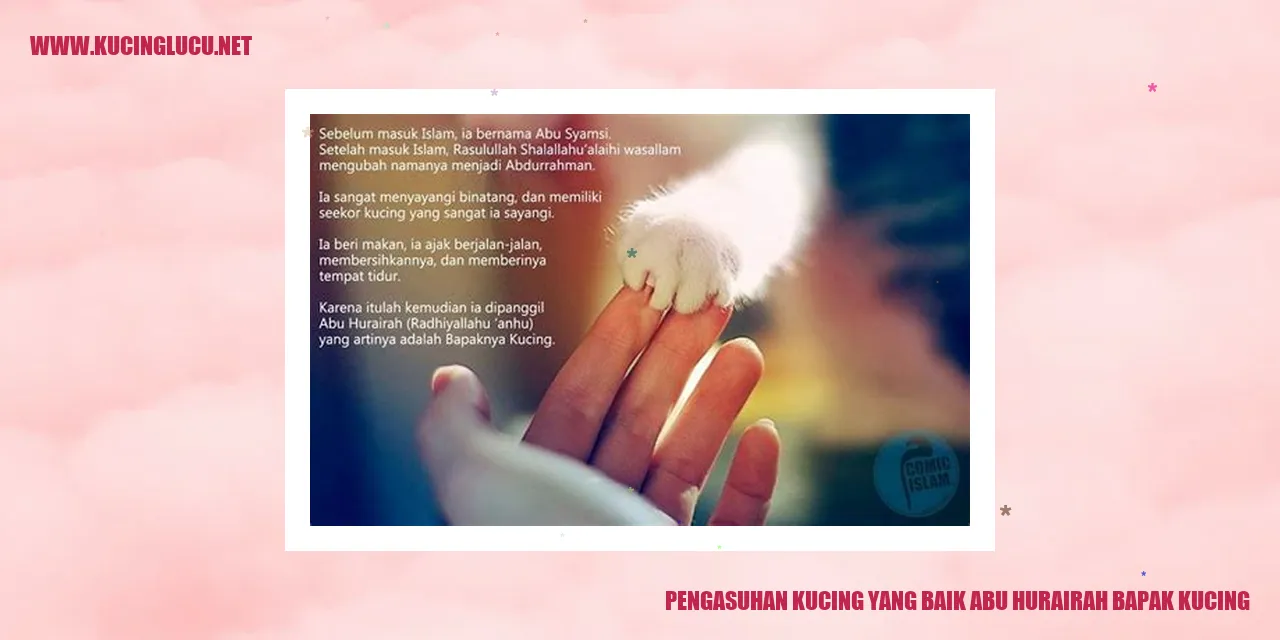 pengasuhan kucing yang baik