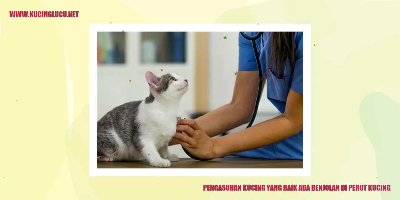 Gambar Kucing dengan Benjolan di Perut