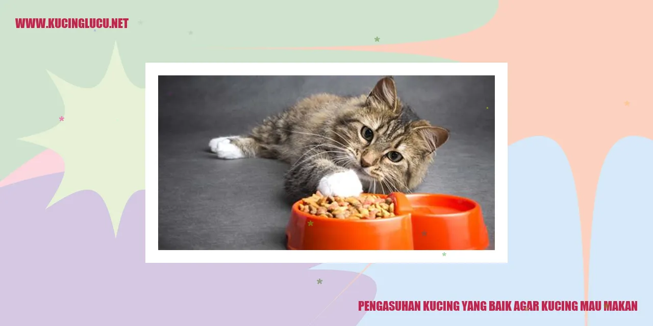 kucing yang sedang makan