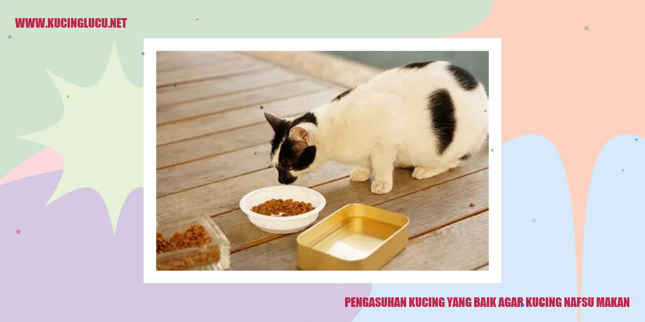 Gambar kucing makan