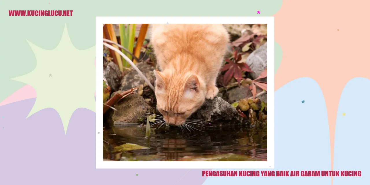 Kucing sedang minum air garam
