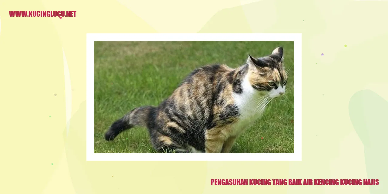 Gambar: Pengasuhan Kucing yang Baik