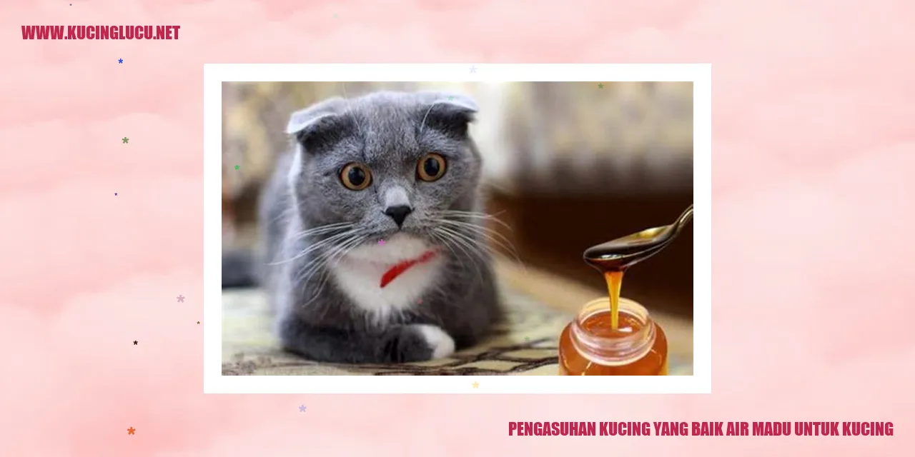 Pengasuhan Kucing yang Baik: Air Madu untuk Kucing