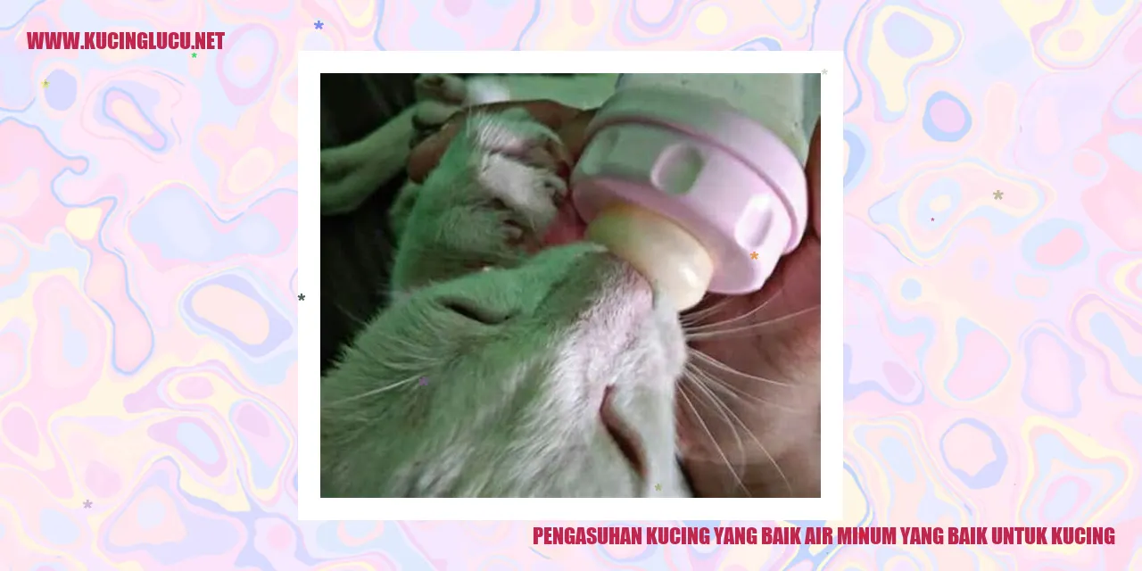Gambar Kucing Minum