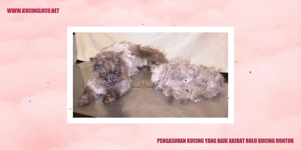 Bulu kucing rontok