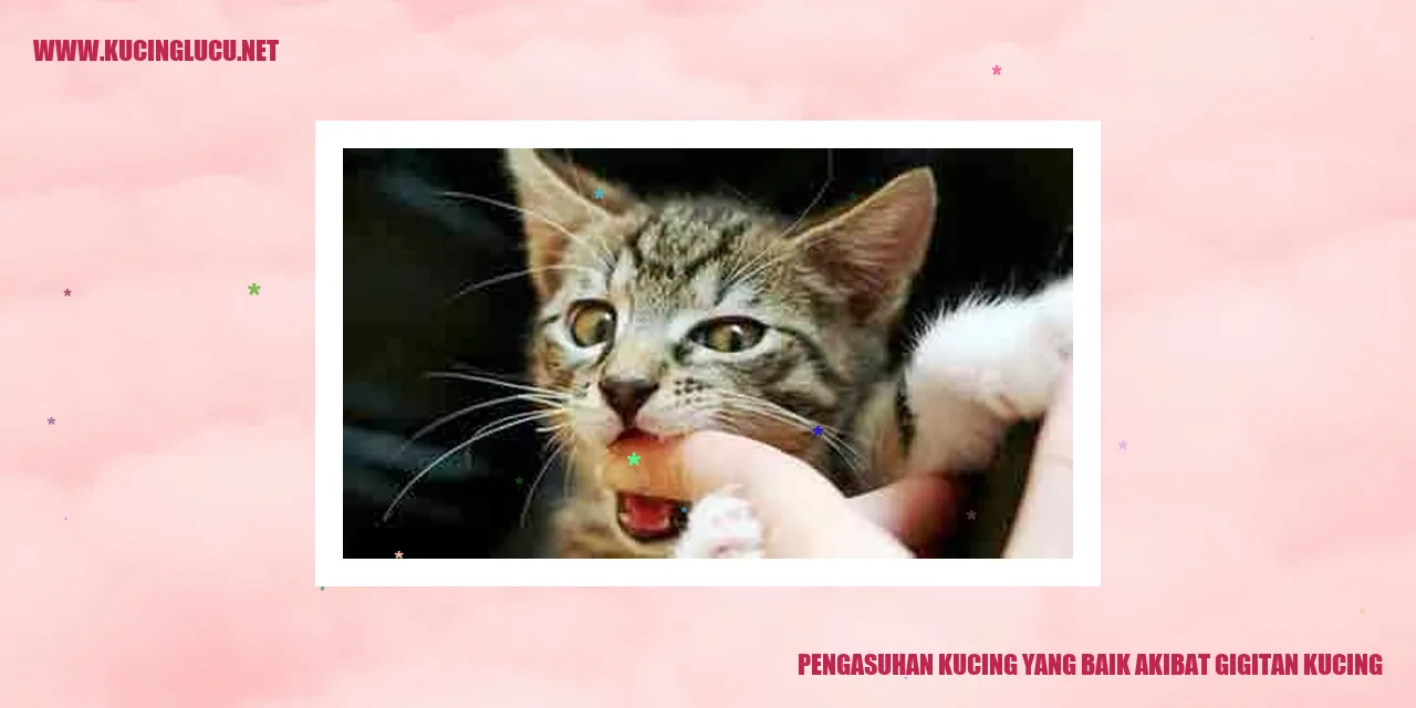 Kucing Menggigit