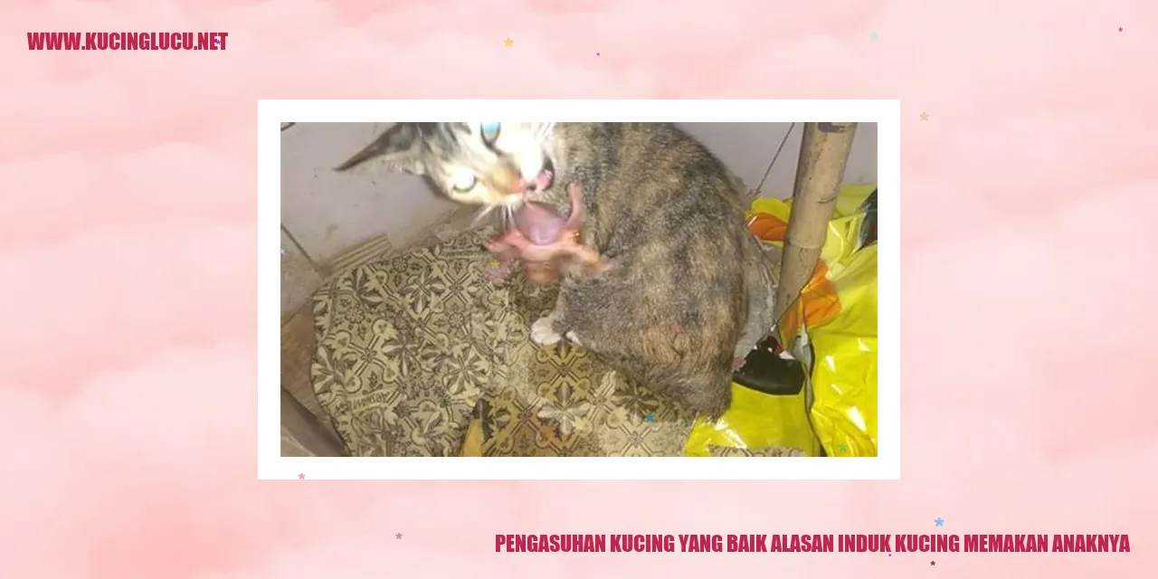 Kucing yang mengasuh anaknya