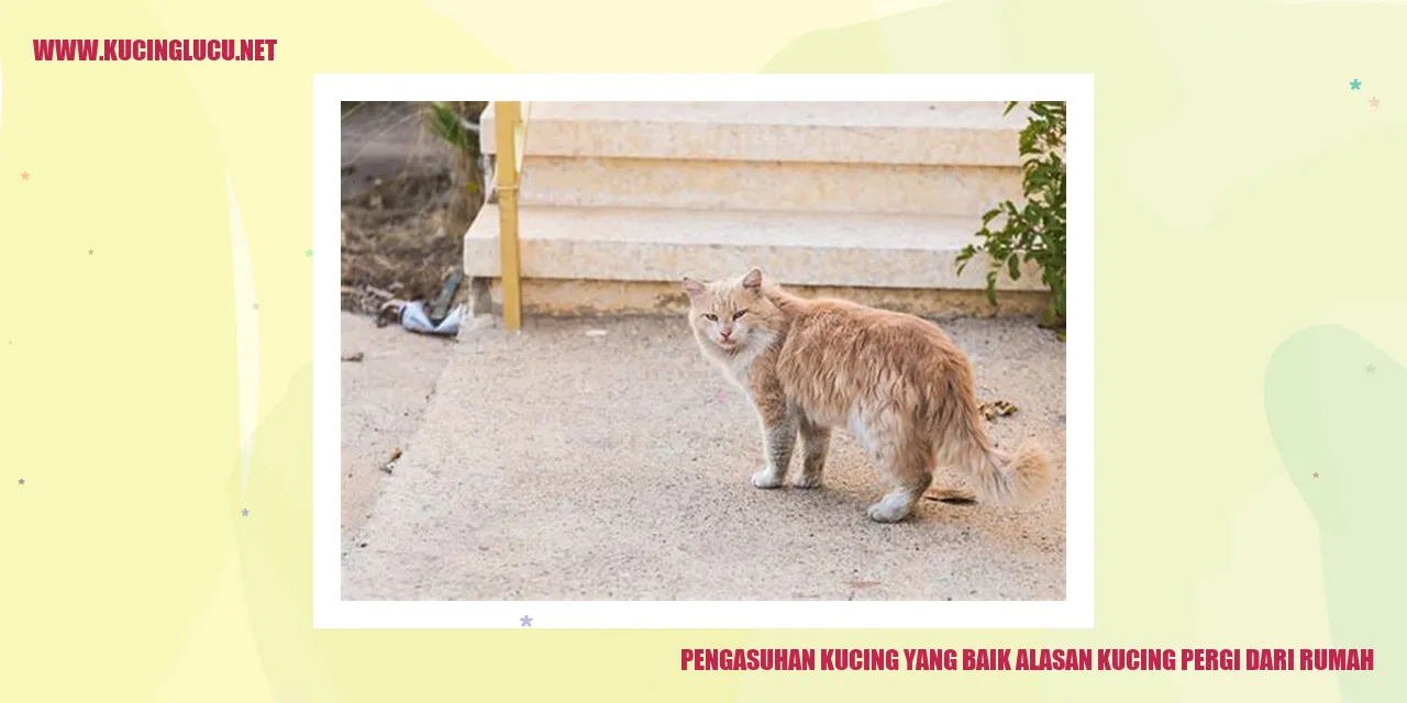 gambar kucing
