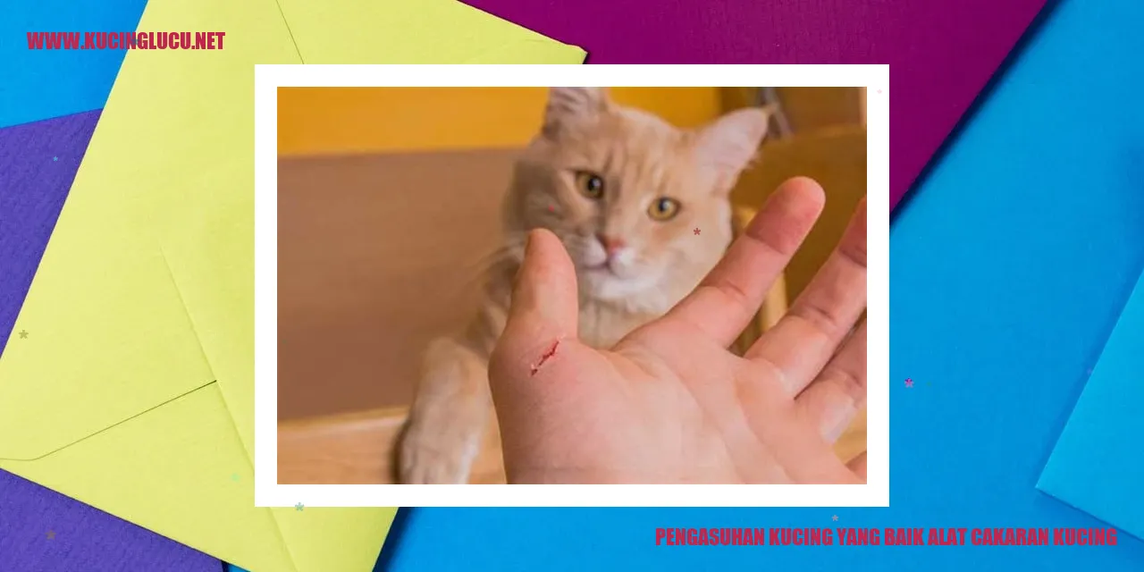 Kucing yang bahagia