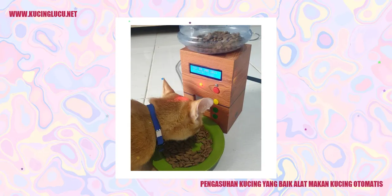 Gambar kucing