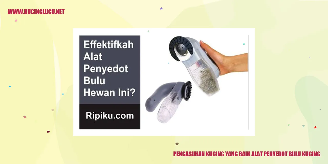 Kucing yang Sehat dan Bahagia