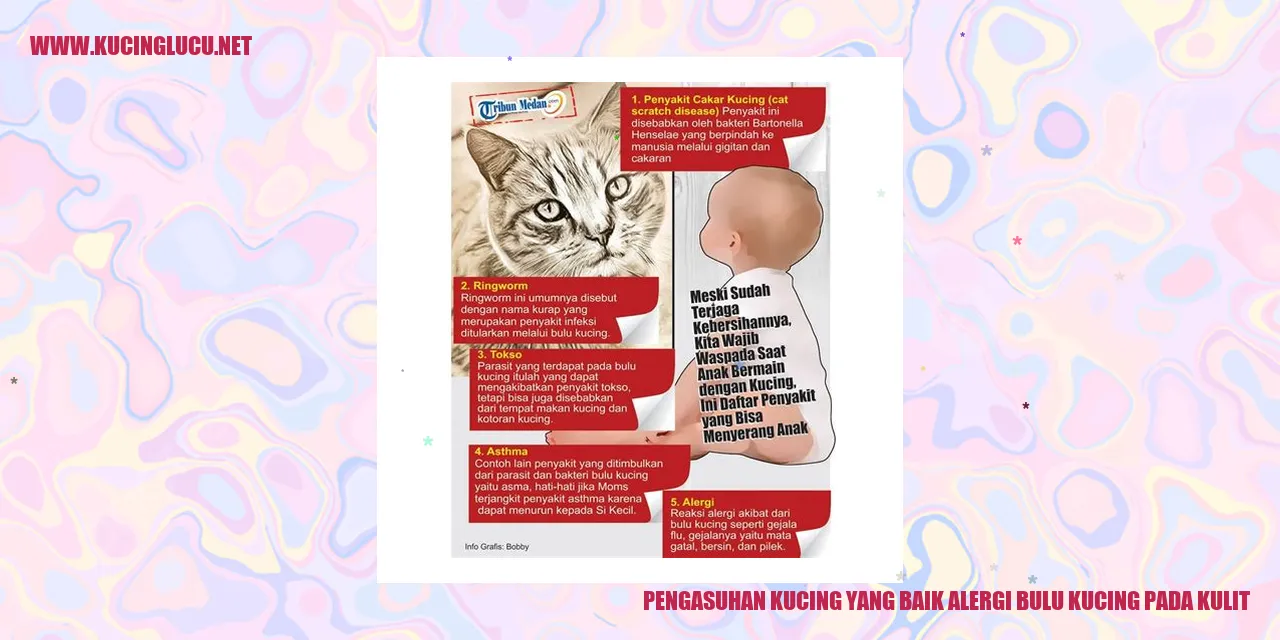 Kucing