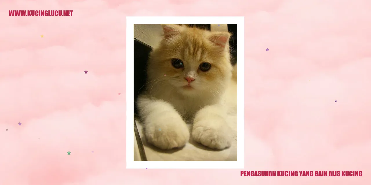 Kucing yang sehat dan bahagia