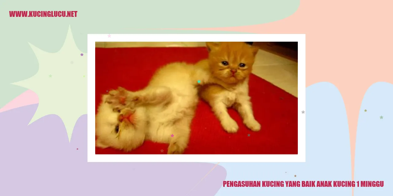 Pengasuhan Kucing yang Baik