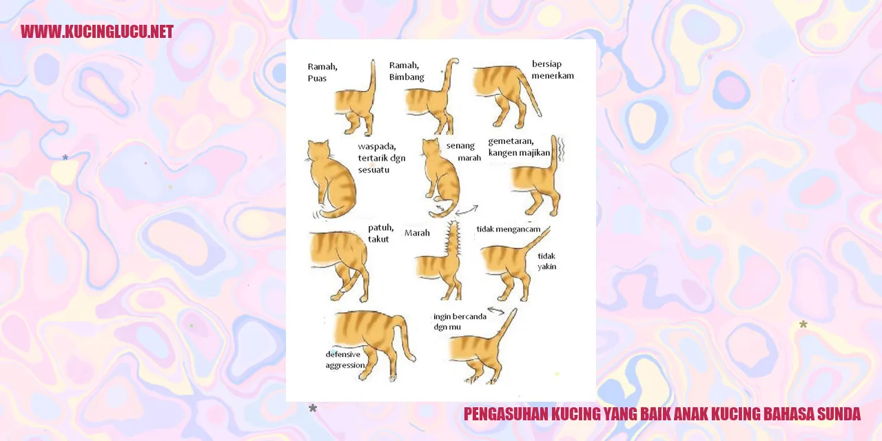 Gambar Kucing Menggemaskan