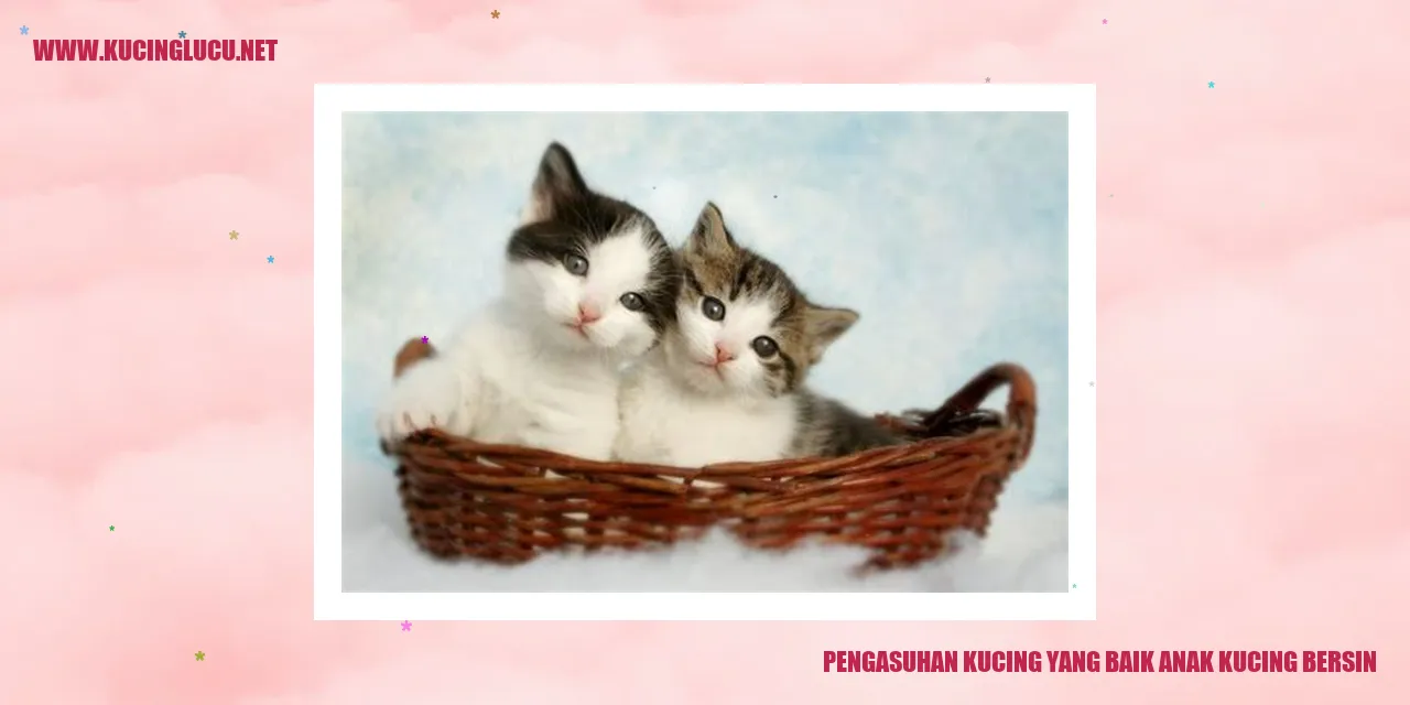 Anak Kucing Bersin