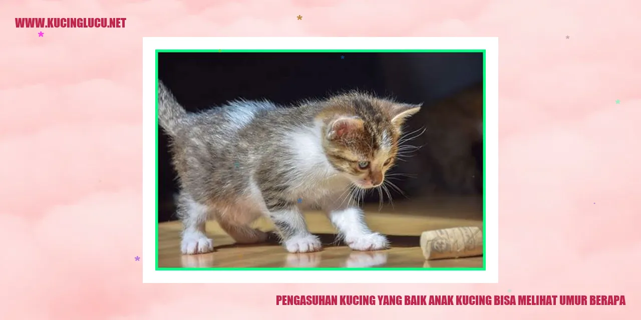 Ilustrasi Kucing