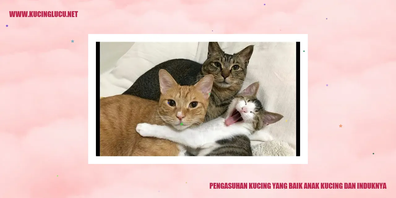 keterangan gambar kucing
