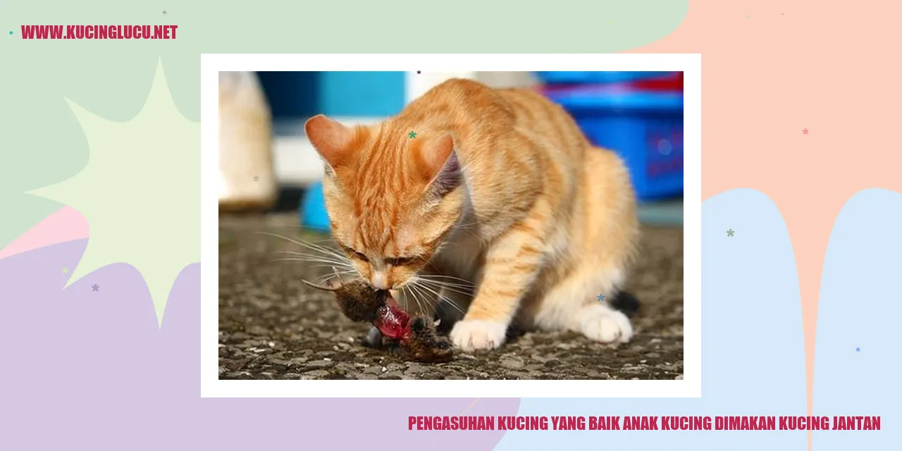 Anak Kucing yang Dimakan Kucing Jantan