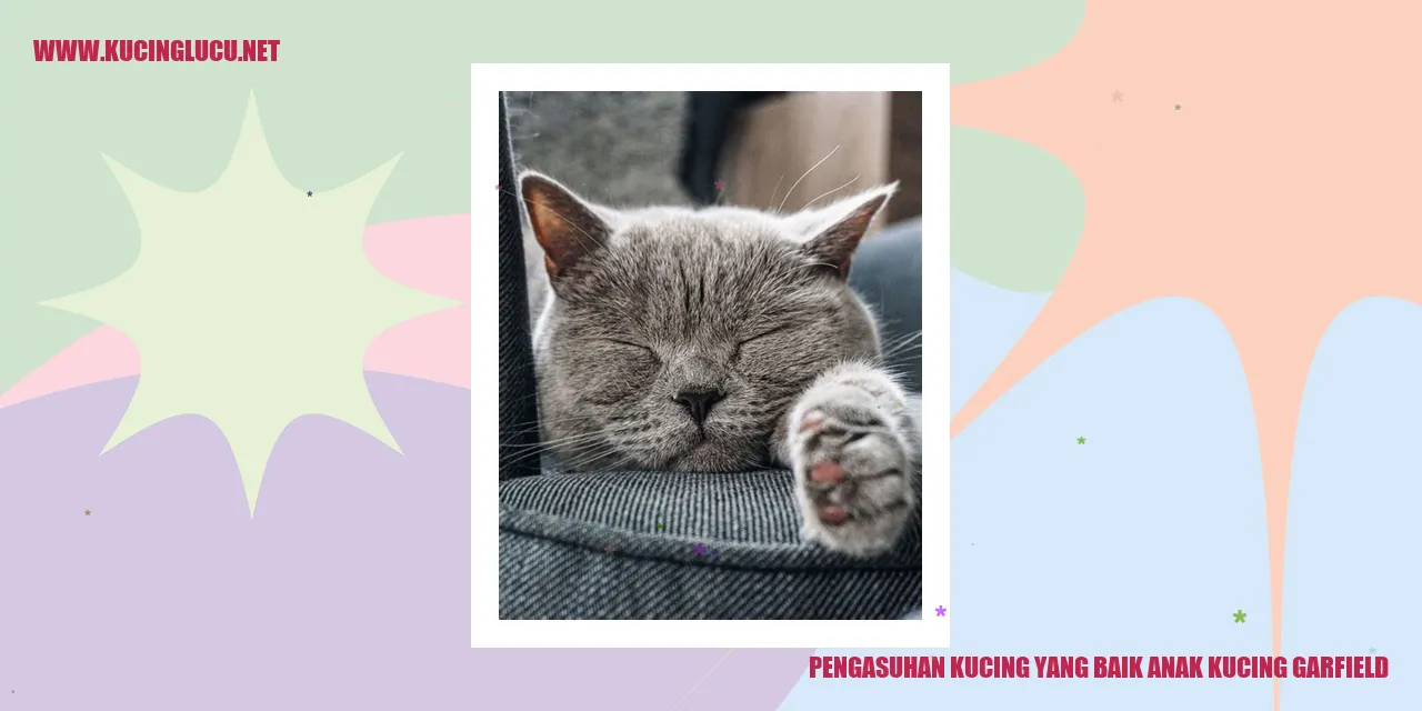Pengasuhan Kucing yang Baik