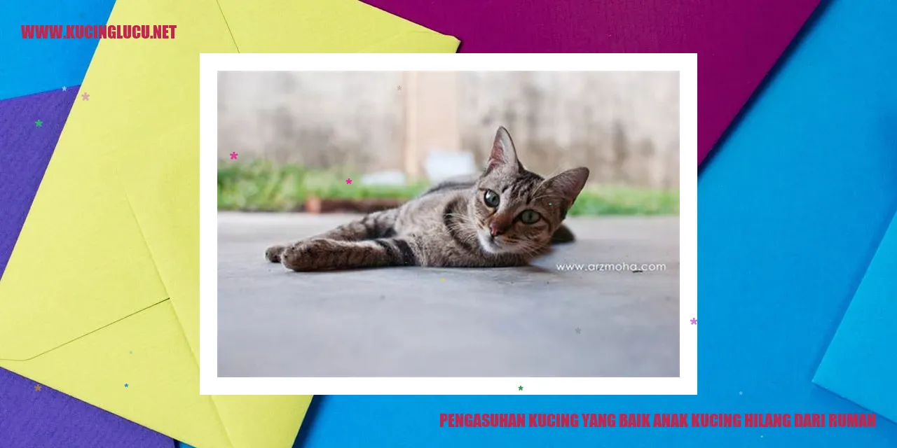 Foto Kucing Lucu